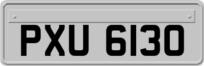 PXU6130