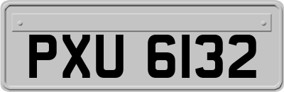 PXU6132