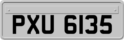 PXU6135