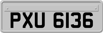 PXU6136