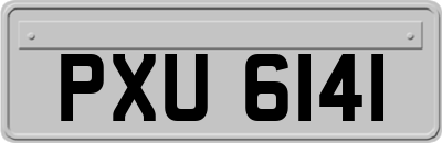 PXU6141