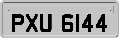 PXU6144