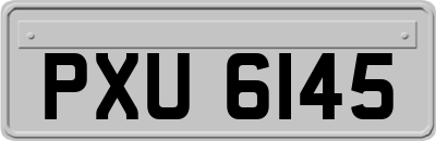 PXU6145