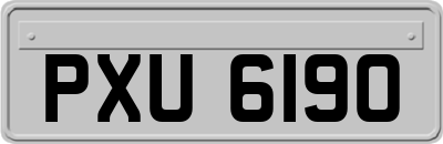 PXU6190