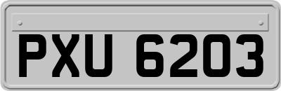 PXU6203