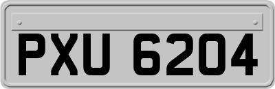 PXU6204