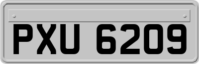 PXU6209