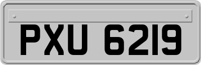 PXU6219