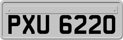 PXU6220