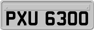 PXU6300