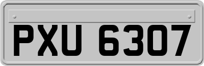 PXU6307