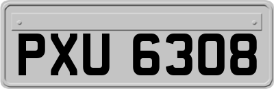 PXU6308