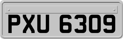 PXU6309