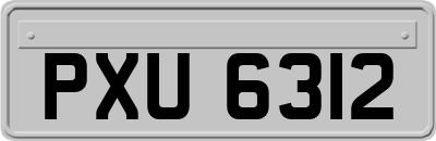 PXU6312