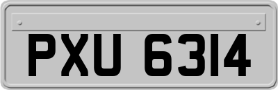 PXU6314