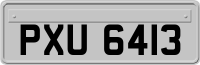 PXU6413