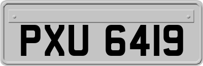 PXU6419