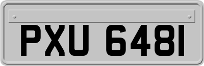 PXU6481