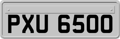 PXU6500