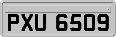 PXU6509