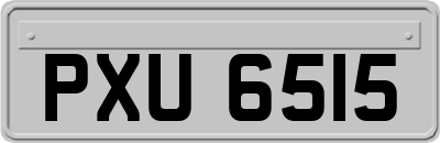 PXU6515