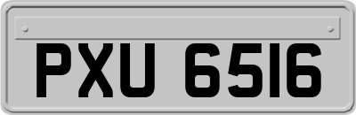 PXU6516