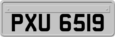 PXU6519