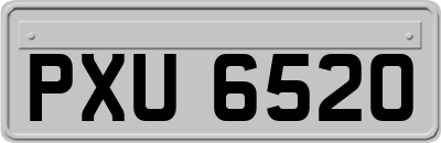 PXU6520