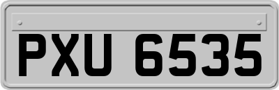 PXU6535