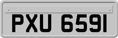 PXU6591