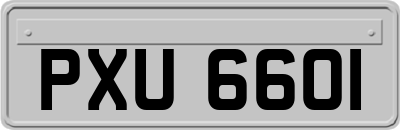 PXU6601