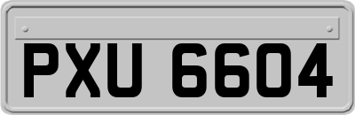 PXU6604