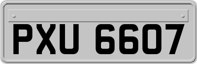 PXU6607