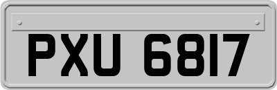 PXU6817