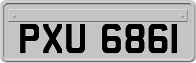 PXU6861