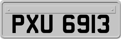 PXU6913