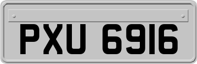 PXU6916