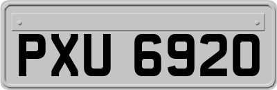 PXU6920