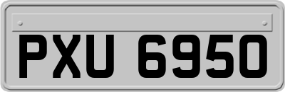 PXU6950