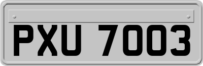 PXU7003