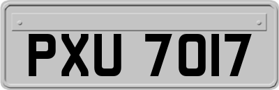 PXU7017