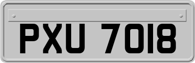 PXU7018