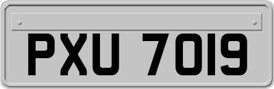 PXU7019