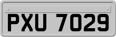 PXU7029