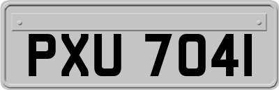 PXU7041