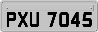 PXU7045