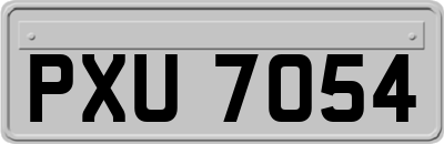 PXU7054