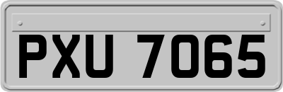 PXU7065