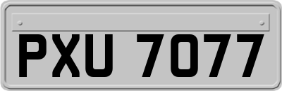 PXU7077