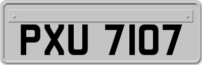 PXU7107